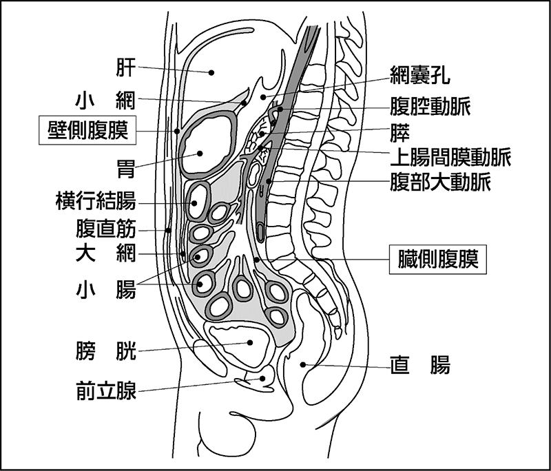 fig01