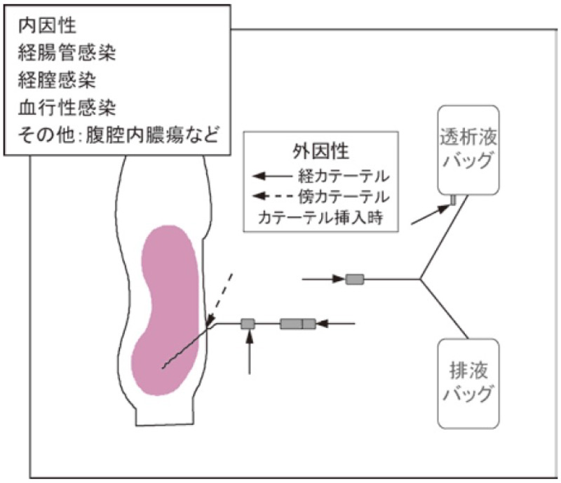 fig