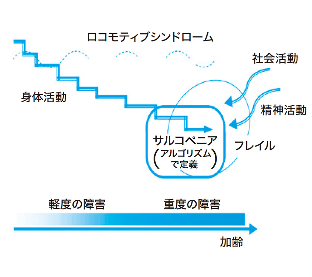 ロコモティブシンドローム、サルコペニア、フレイルの違い