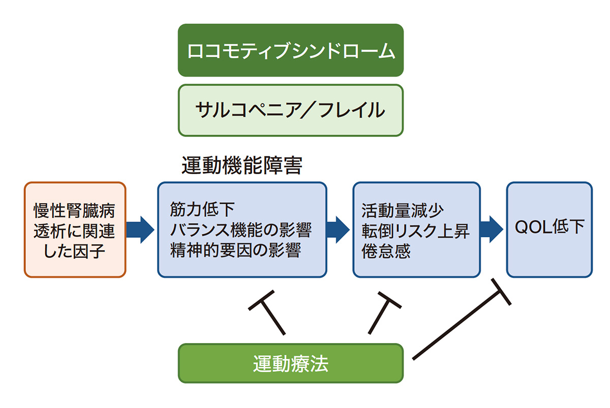 運動療法の効果