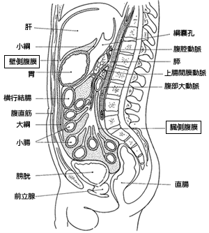 fig01